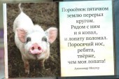 Для малышки 59